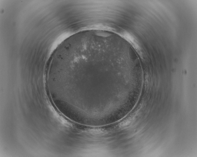 X0000089880998200706281345