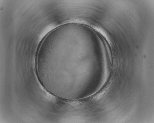 X0000089880999200706281345