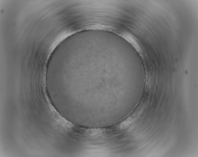 X0000089881000200706281345