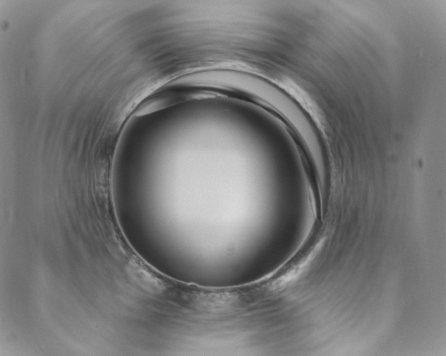 X0000089881001200706281345