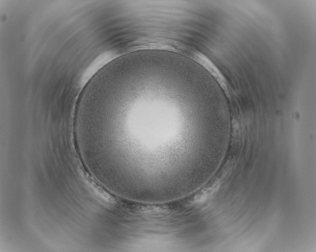 X0000089881002200706281345