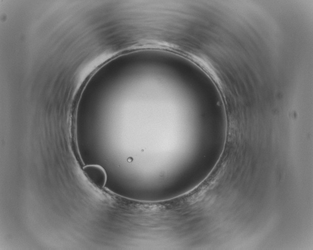 X0000089881003200706281345