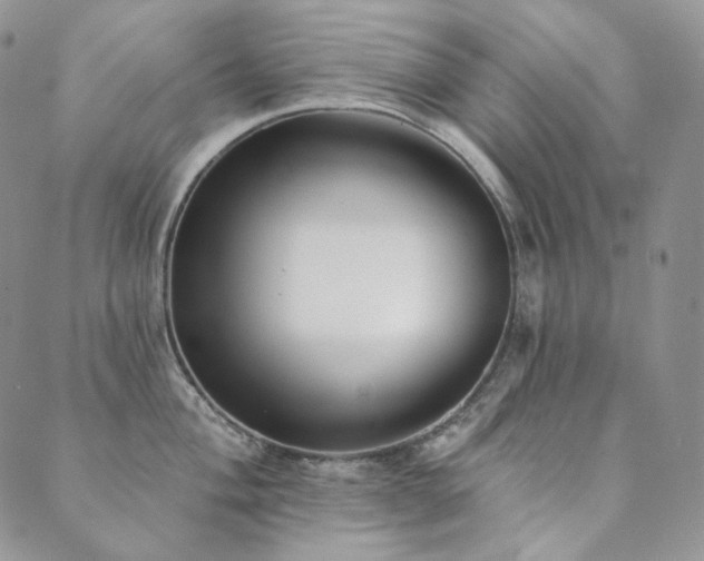 X0000089881004200706281345