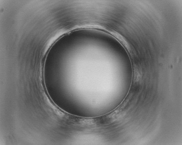 X0000089881006200706281345