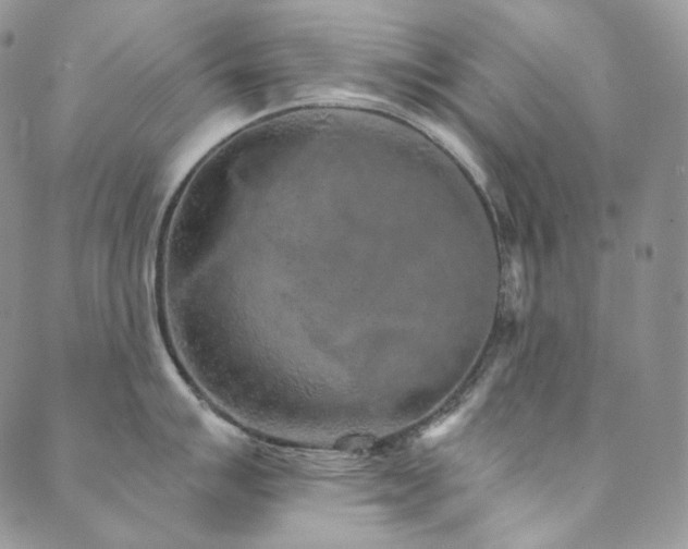 X0000089881007200706281345