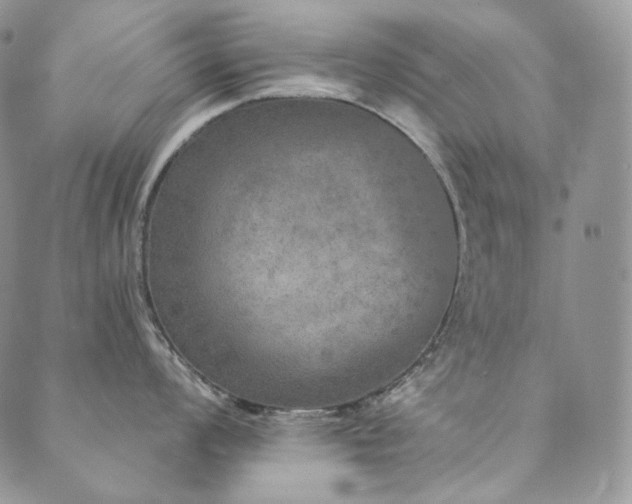 X0000089881008200706281345