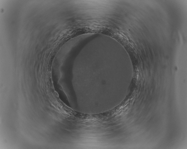 X0000089881009200706281344