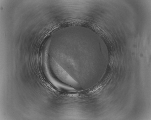 X0000089881010200706281344