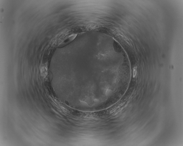 X0000089881011200706281344