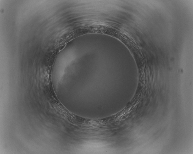 X0000089881013200706281344