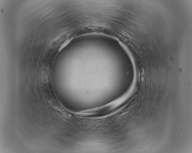 X0000089881014200706281344