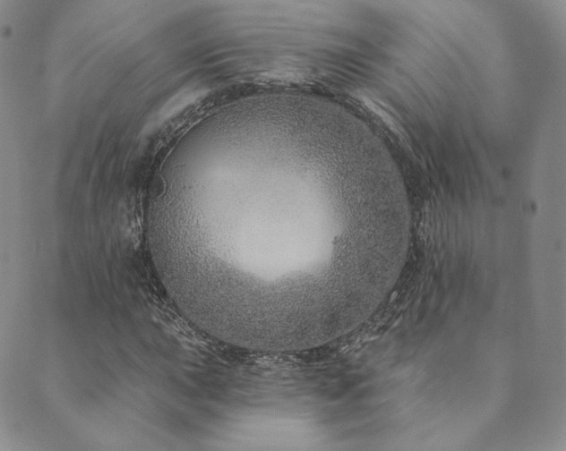 X0000089881015200706281344