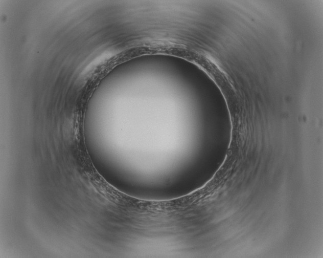 X0000089881016200706281344