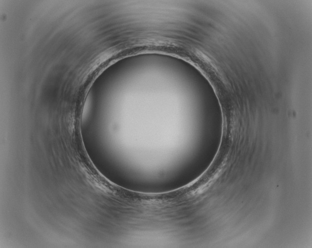 X0000089881017200706281344