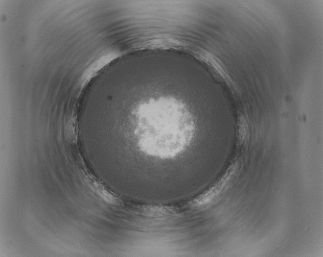 X0000089881018200706281344