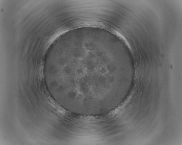 X0000089881019200706281344