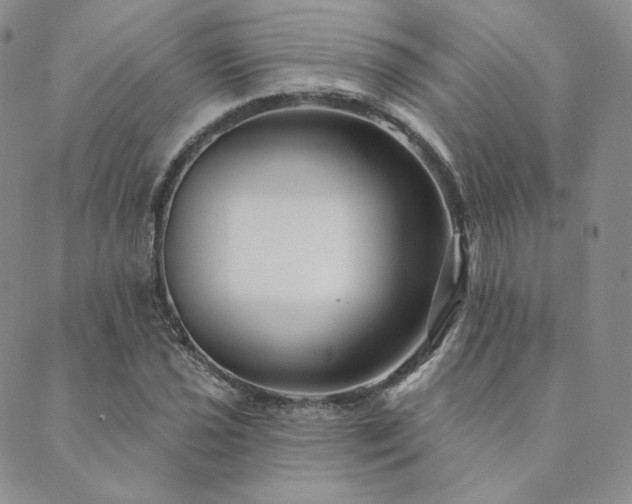 X0000089881021200706281344