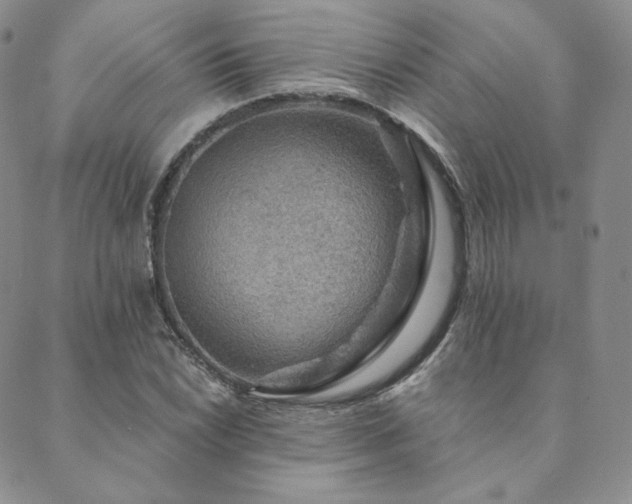 X0000089881022200706281344