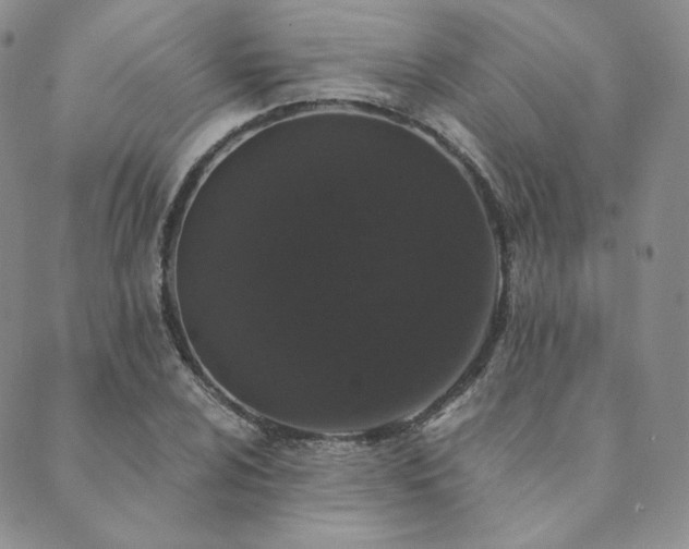 X0000089881024200706281344