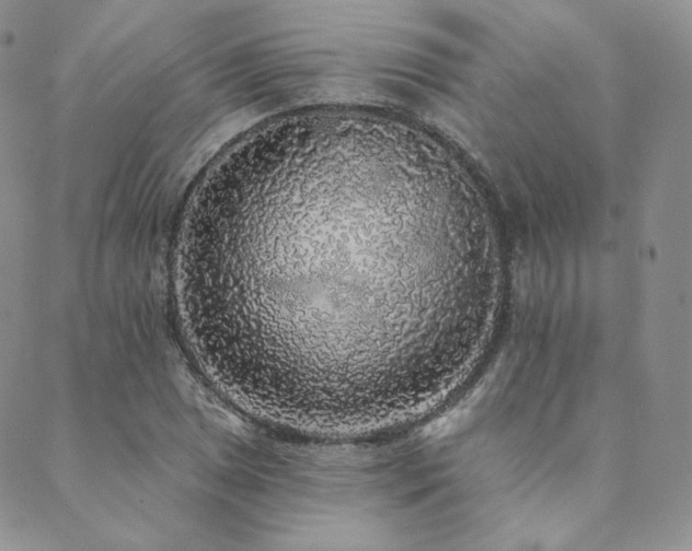 X0000089881025200706281344