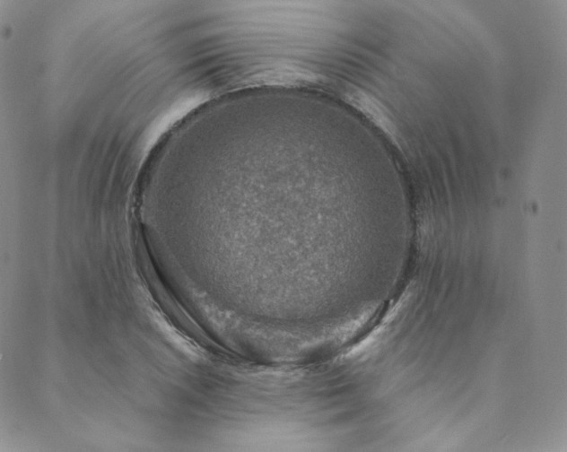 X0000089881026200706281344