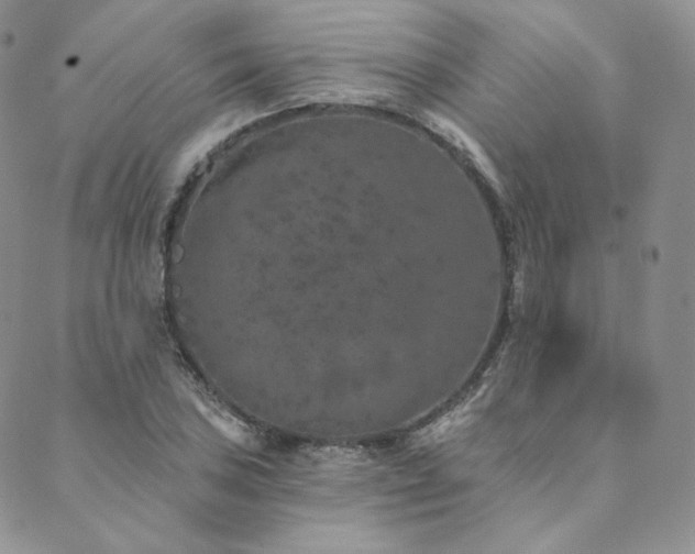 X0000089881027200706281344