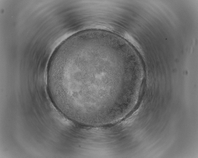 X0000089881028200706281344