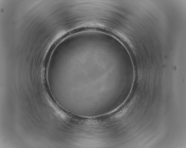 X0000089881029200706281344