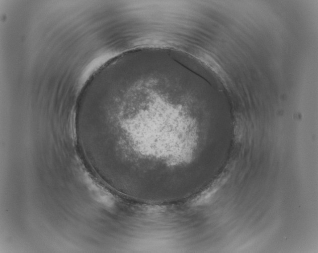 X0000089881030200706281344