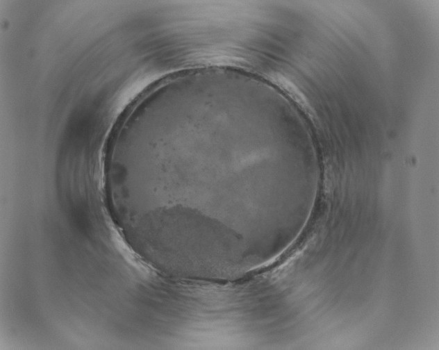 X0000089881031200706281344