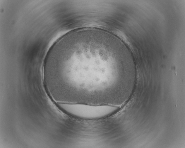 X0000089881032200706281344