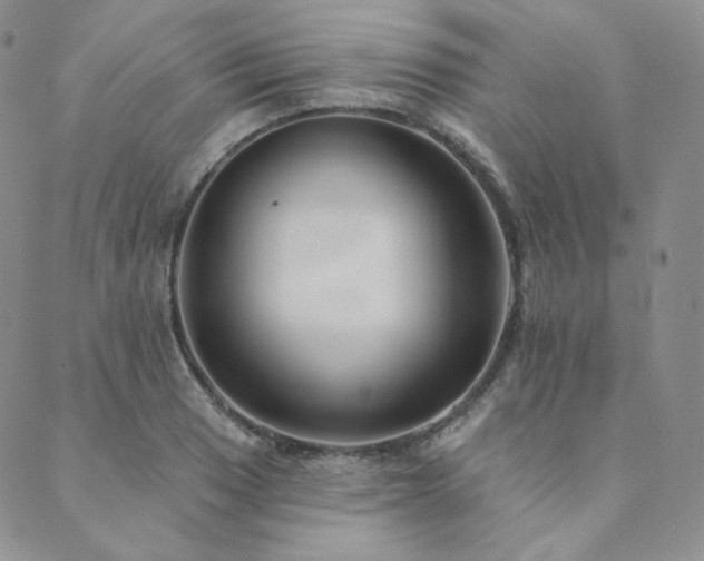 X0000089881033200706281344