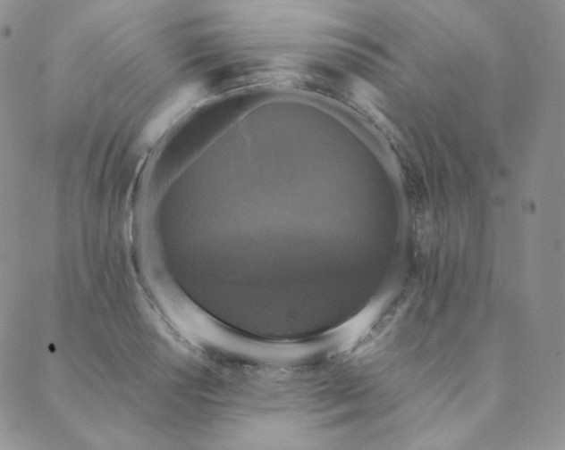 X0000089881034200706281344