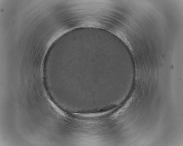 X0000089881037200706281344