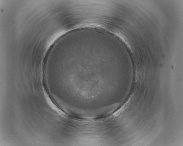 X0000089881038200706281345