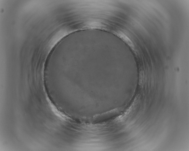 X0000089881039200706281345