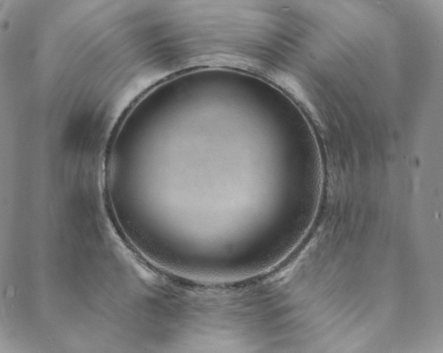 X0000089881040200706281345