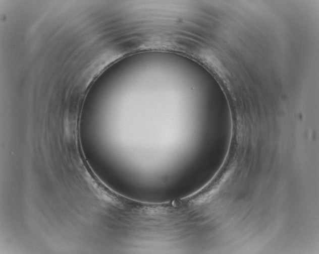 X0000089881041200706281345