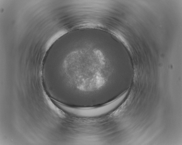 X0000089881042200706281345