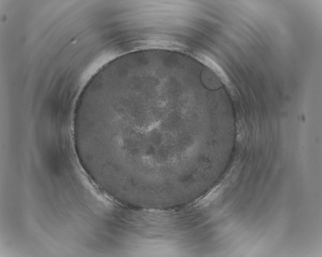 X0000089881043200706281345