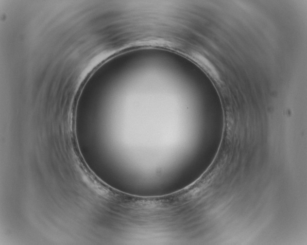 X0000089881044200706281345