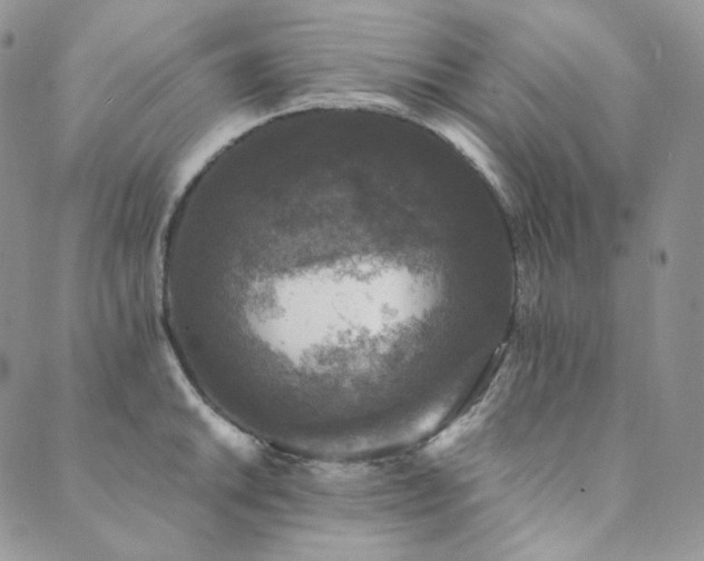 X0000089881046200706281345