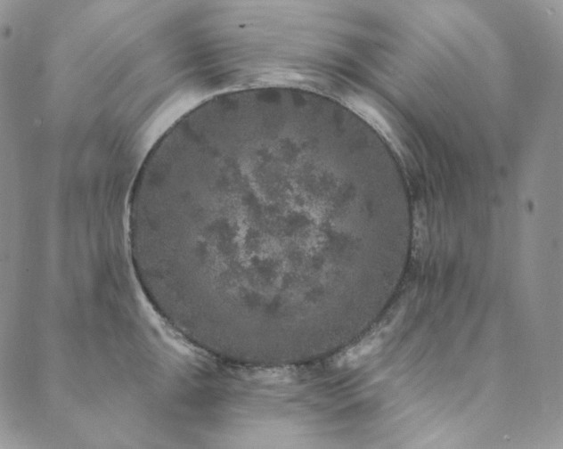 X0000089881047200706281345