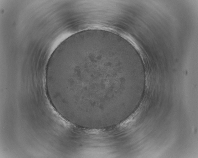 X0000089881048200706281345