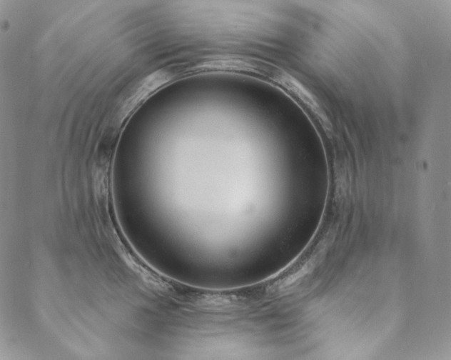 X0000089881049200706281345