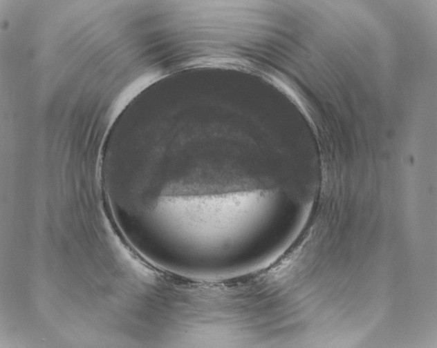 X0000089881050200706281345