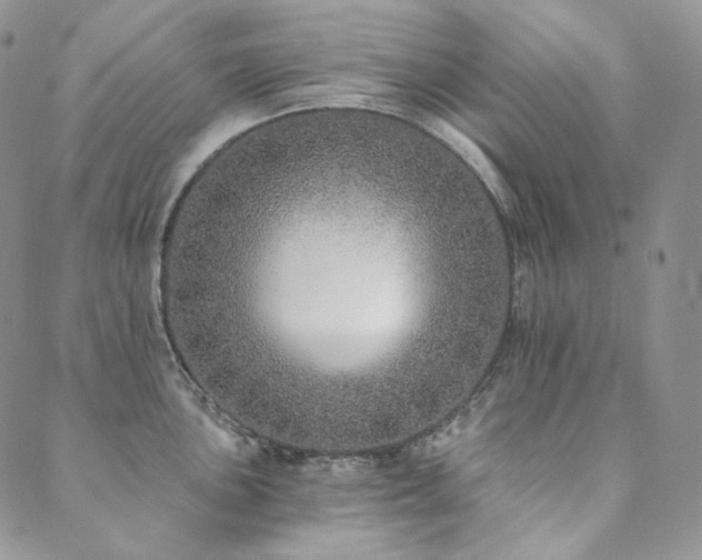 X0000089881051200706281345