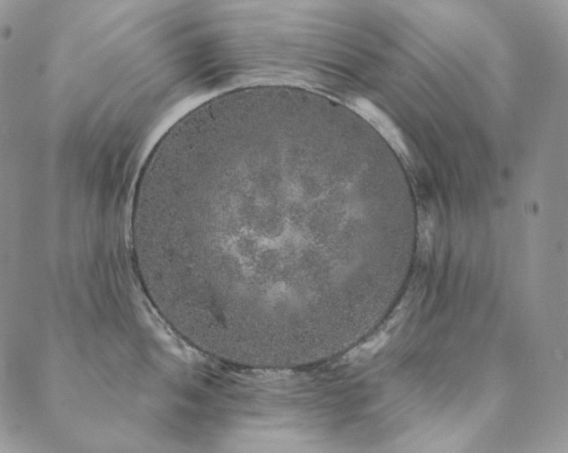 X0000089881052200706281345