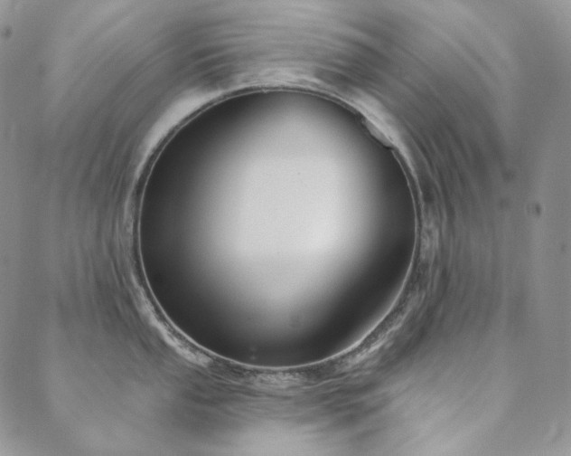 X0000089881053200706281345