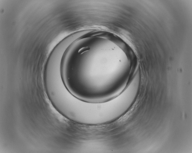 X0000089881054200706281345